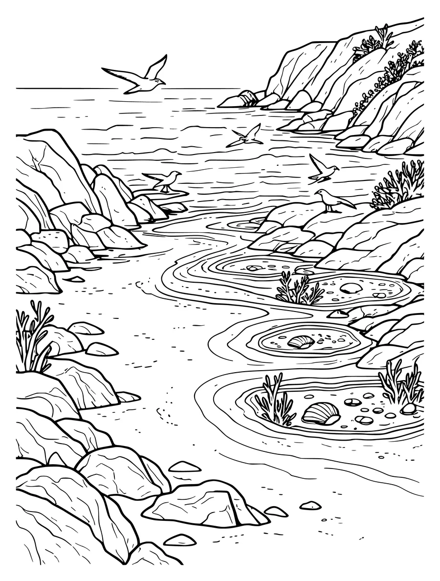 Black and white line art colouring page of sandy cove with rocks, tide pools and seagulls, detailed detail