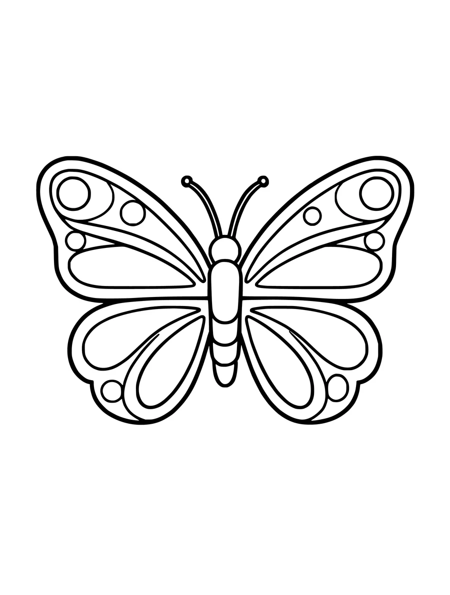 A large, simple butterfly with bold, rounded wing patterns for colouring, coloring page