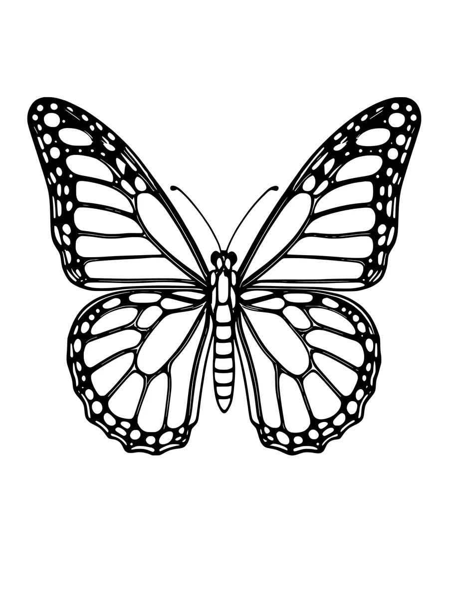 Black and white line art coloring page of monarch butterfly with detailed veins and spots, detailed detail