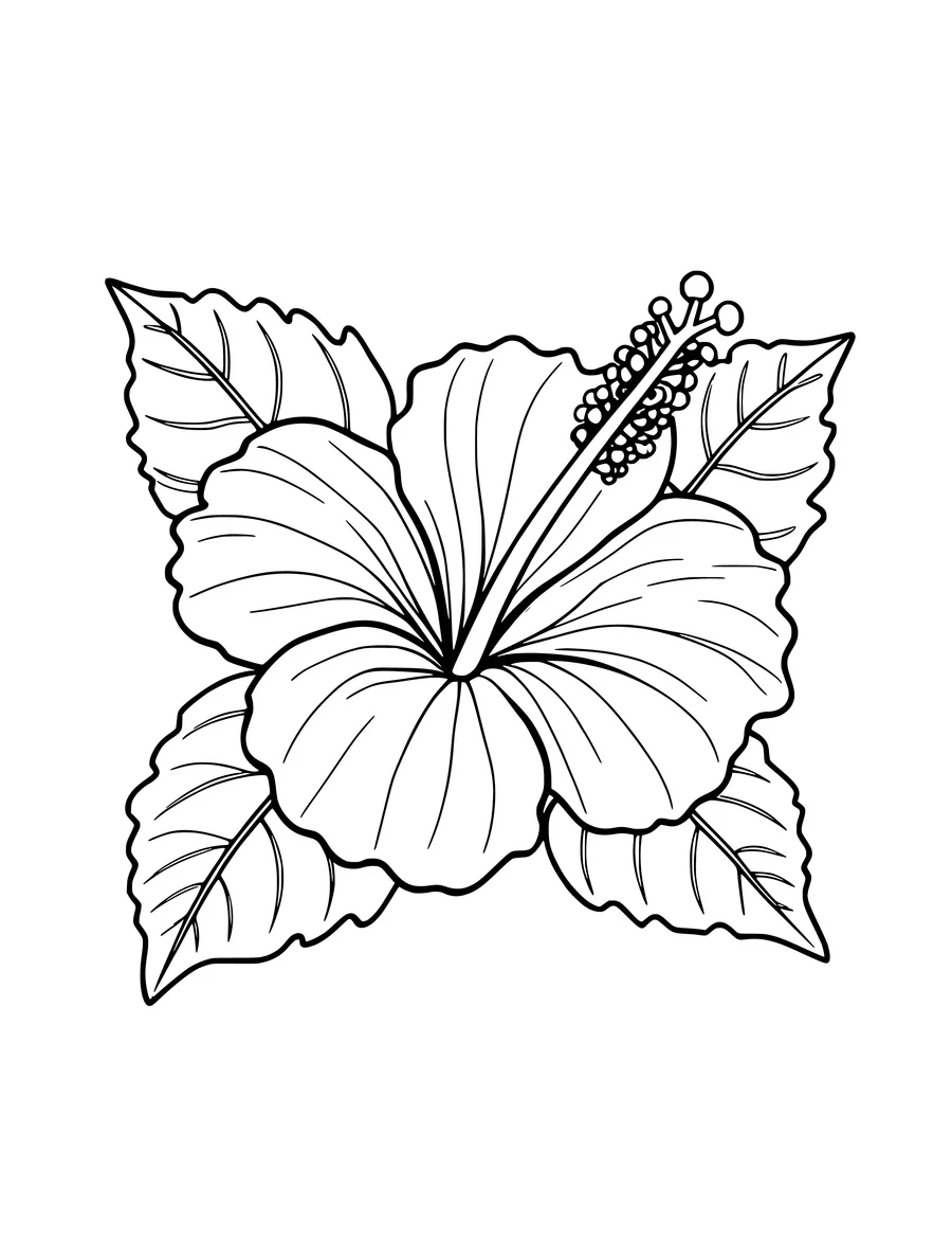 Black and white line art coloring page of hibiscus bloom with a long stamen and broad leaves, detailed detail