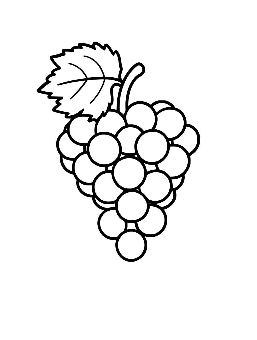 A simple line art colouring page showing a bunch of grapes with a single leaf attached to the stem.