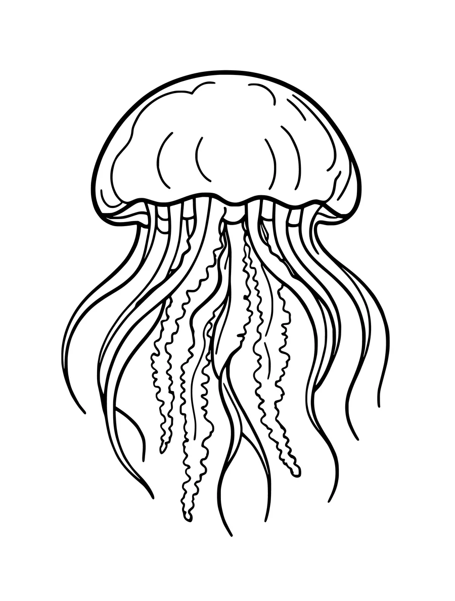 A simple jellyfish colouring page with clean, bold outlines and wide-open spaces between its tentacles.
