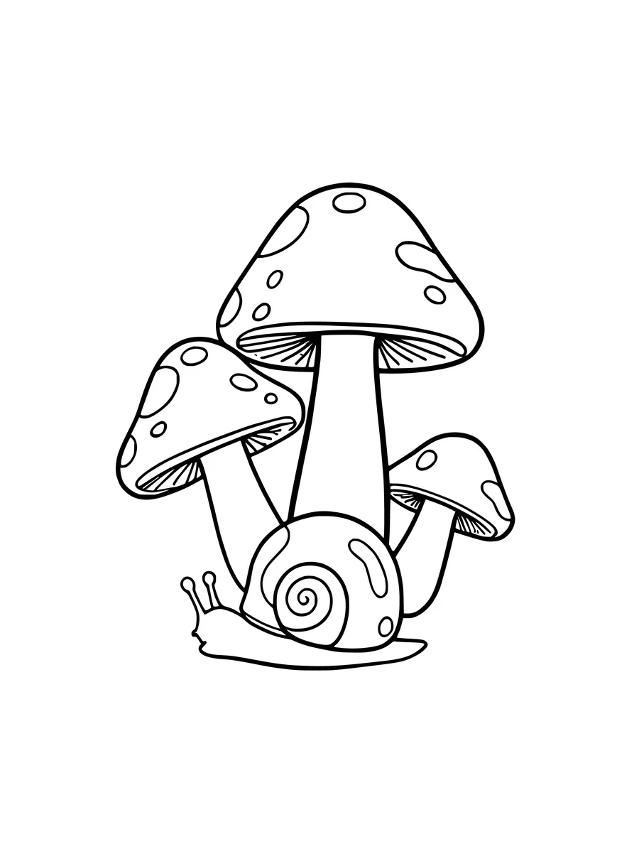 A colouring page featuring a cluster of three mushrooms of different sizes with a snail resting at the base.