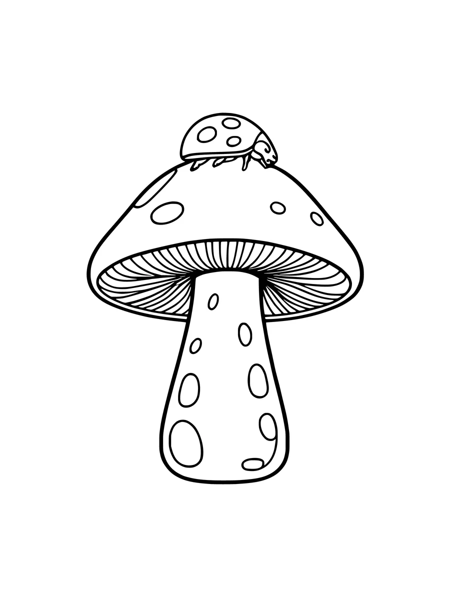 A simple line art coloring page of a single mushroom with a cute ladybug perched on its spotted cap.